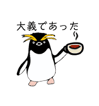イワトビペンギンの武士語スタンプ（個別スタンプ：8）