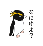 イワトビペンギンの武士語スタンプ（個別スタンプ：25）