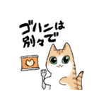 ルームシェアするネコ（個別スタンプ：4）