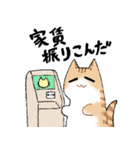 ルームシェアするネコ（個別スタンプ：11）