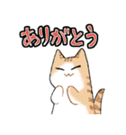 ルームシェアするネコ（個別スタンプ：20）