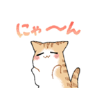 ルームシェアするネコ（個別スタンプ：23）