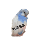 いんこのぷーちゃん2（個別スタンプ：11）
