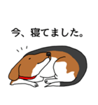 Beagle8 新装版（個別スタンプ：22）