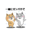 柴犬やねん★日常★やさしい関西弁★前向き（個別スタンプ：9）