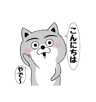 柴犬やねん★日常★やさしい関西弁★前向き（個別スタンプ：13）