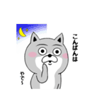 柴犬やねん★日常★やさしい関西弁★前向き（個別スタンプ：16）