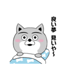 柴犬やねん★日常★やさしい関西弁★前向き（個別スタンプ：20）