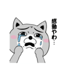 柴犬やねん★日常★やさしい関西弁★前向き（個別スタンプ：28）