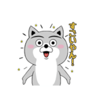 柴犬やねん★日常★やさしい関西弁★前向き（個別スタンプ：38）