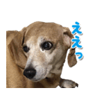 ローリー君のスタンプ（個別スタンプ：4）