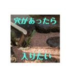 茶庭（個別スタンプ：7）