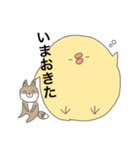目つきの悪いひよこ（個別スタンプ：12）