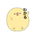 目つきの悪いひよこ（個別スタンプ：15）