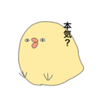 目つきの悪いひよこ（個別スタンプ：24）
