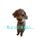けものCLUB（個別スタンプ：2）