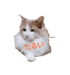 けものCLUB（個別スタンプ：3）
