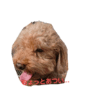 けものCLUB（個別スタンプ：6）
