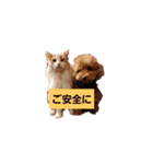 けものCLUB（個別スタンプ：8）