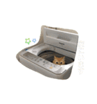 4匹のネコ(1)（個別スタンプ：3）