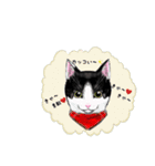 黒猫(ネロ2)（個別スタンプ：25）
