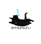 黒猫すたんぷ（個別スタンプ：2）