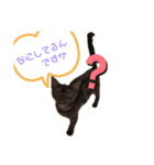 黒猫すたんぷ（個別スタンプ：5）