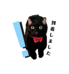 黒猫すたんぷ（個別スタンプ：6）