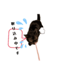黒猫すたんぷ（個別スタンプ：7）