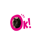 黒猫すたんぷ（個別スタンプ：10）