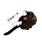 黒猫すたんぷ（個別スタンプ：11）