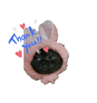 黒猫すたんぷ（個別スタンプ：14）