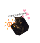 黒猫すたんぷ（個別スタンプ：16）