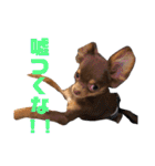 ちゃちゃりーと（個別スタンプ：14）