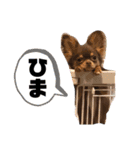 ちゃちゃりーと（個別スタンプ：21）