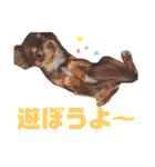 ちゃちゃりーと（個別スタンプ：22）