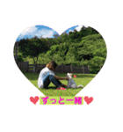 Kai＆Reo★chihuahua（個別スタンプ：12）