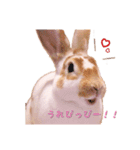 ぴすタンプ（個別スタンプ：1）