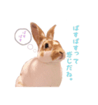 ぴすタンプ（個別スタンプ：2）