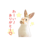 ぴすタンプ（個別スタンプ：4）