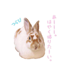 ぴすタンプ（個別スタンプ：5）