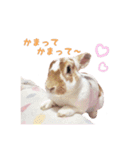 ぴすタンプ（個別スタンプ：6）