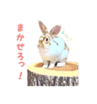 ぴすタンプ（個別スタンプ：7）