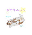 ぴすタンプ（個別スタンプ：9）
