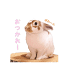 ぴすタンプ（個別スタンプ：11）