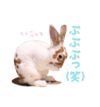 ぴすタンプ（個別スタンプ：12）
