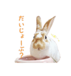 ぴすタンプ（個別スタンプ：16）