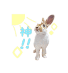 ぴすタンプ（個別スタンプ：19）