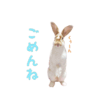 ぴすタンプ（個別スタンプ：20）