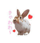 ぴすタンプ（個別スタンプ：22）